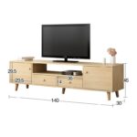 TV09 (3)