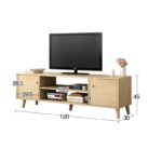 TV09 (5)
