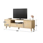 TV09 (6)